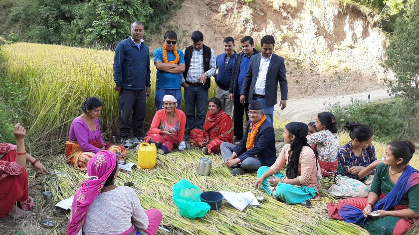 खेतमै पुगेर भोट माग्दै सूर्य थापा