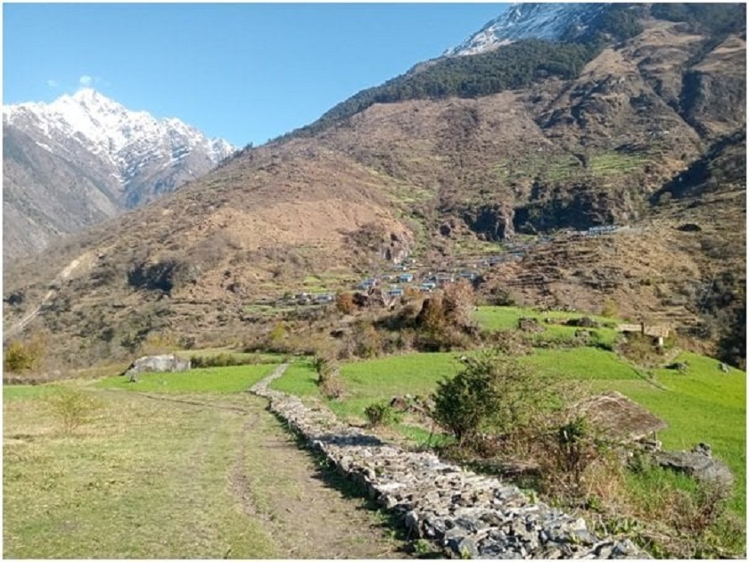 साइपालमा  खाद्य सङ्कट
