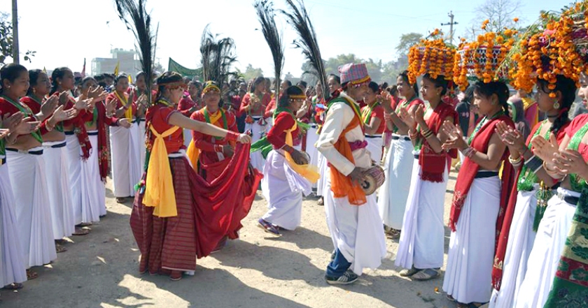 आज माघे संक्रान्ति, सार्वजनिक बिदा