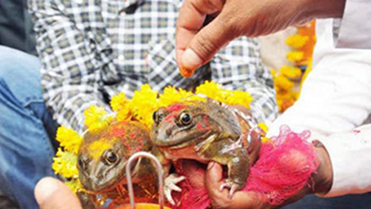 पानी पर्ने आसामा भ्यागुताको विवाह