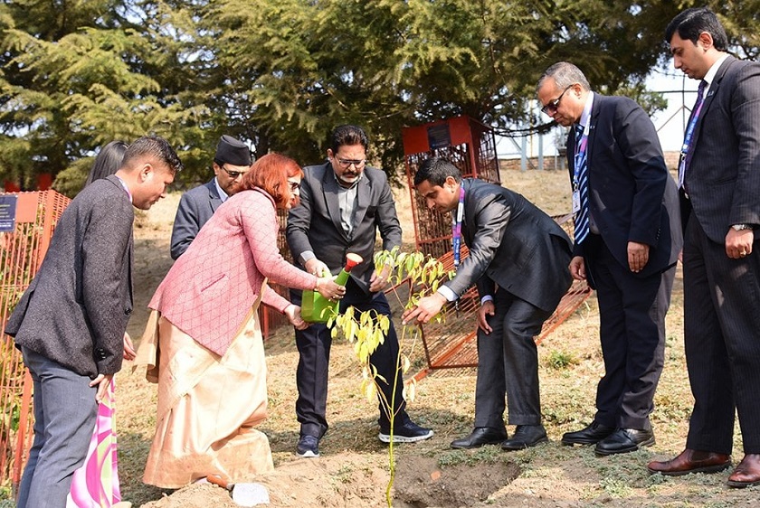 नेपाल एसबिआई बैंक लिमिटेडद्वारा पशुपतिको कैलाश डाँडामा वृक्षारोपण