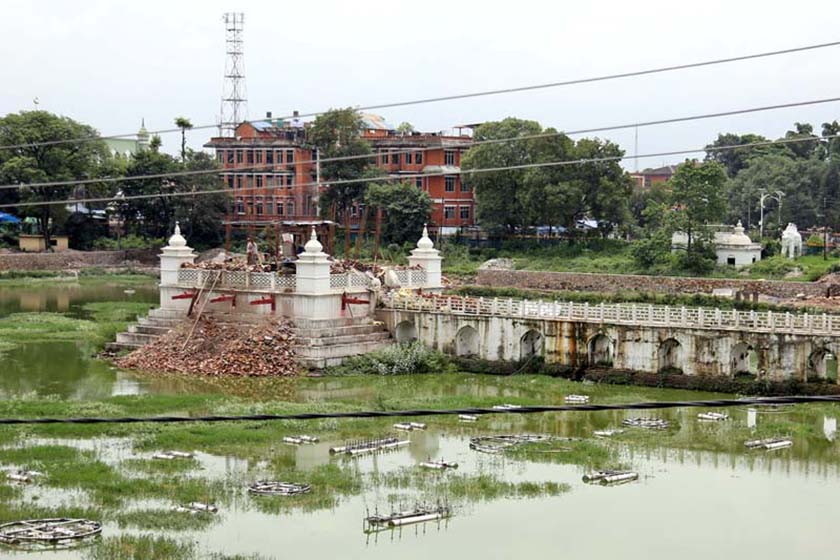 रानीपोखरी हरियो लेउ र झ्याउले ढाकिएर कुरुप बन्न थालेपछि