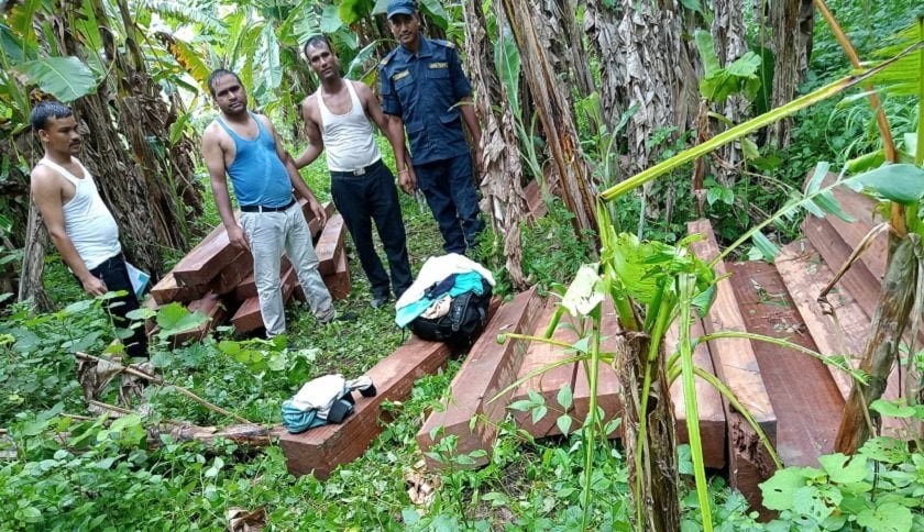 सर्लाहीमा अवैधरूपमा काठ चोरी निकासी गर्नेविरुद्ध मुद्दा दर्ता
