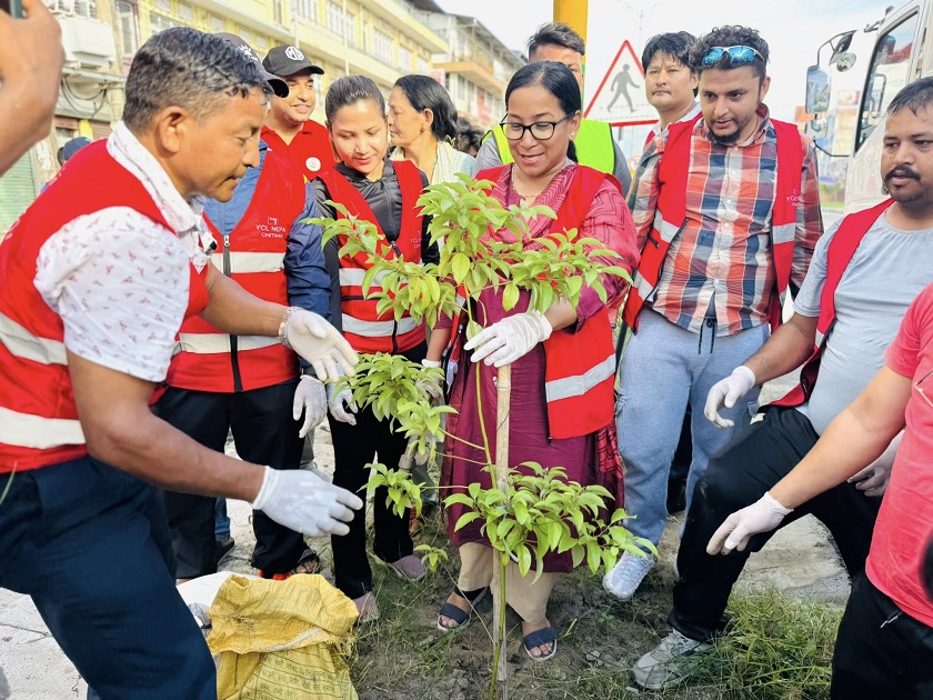 वाइसिएलले गर्यो भरतपुर महानगरमा सरसफाइ